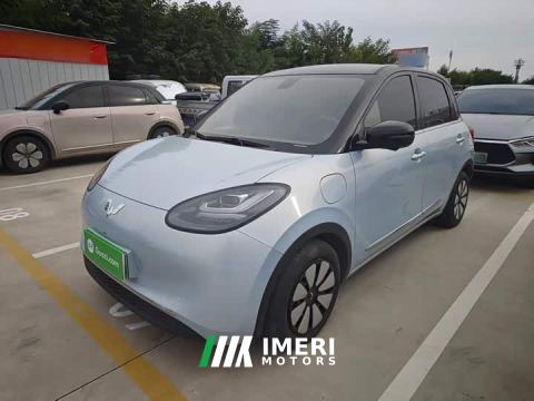 2025 Wuling Binguo 410km Lingxi Premium Edition