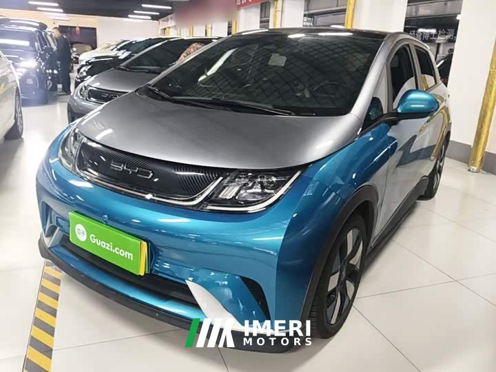 BYD Dolphin 401km Knight Edition - ავტომობილი ჩინეთიდან