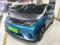 BYD Dolphin 401km Knight Edition - ფოტო 1