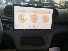 BYD Dolphin 401km Knight Edition - ფოტო 13