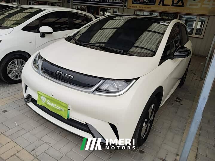 BYD Dolphin 420km Fashion Edition - ავტომობილი ჩინეთიდან