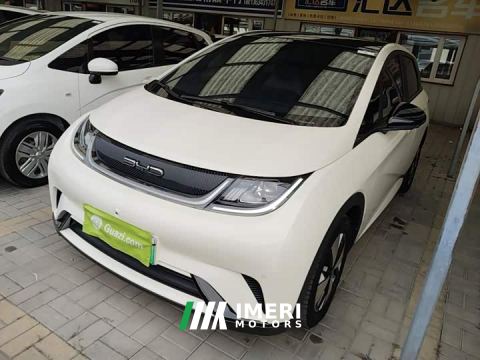 2023 BYD Dolphin 420km Fashion Edition
