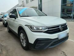 Volkswagen Tiguan L Outstanding Edition 300TSI Automatic FWD Dragon Ascendant Version - ფოტო 4