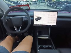 Tesla Model Y Rear-Wheel Drive - ფოტო 10