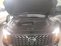 GAC Aion GS8 2022 Pioneer Series 2.0T GDI FWD Luxury Edition 7-Seater - ფოტო 16