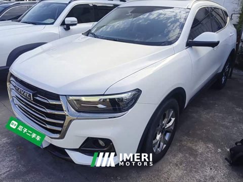 2022 Haval H6 2021 National Trend 1.5T Automatic Champion Edition - ავტომობილი ჩინეთიდან