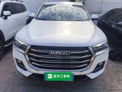 Haval H6 2021 National Trend 1.5T Automatic Champion Edition - ფოტო 3