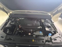 Tank 300 New Energy Hi4-T 37.1kWh - ფოტო 20