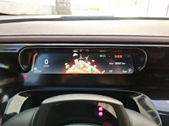 Smart #3 Pulse AWD - ფოტო 12