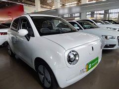 ORA Black Cat 301km Cute Pet Edition - ფოტო 4
