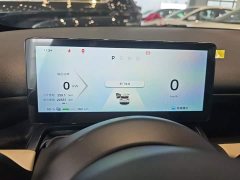 Wuling Binguo PLUS 330km 5-Seater - ფოტო 12