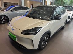Wuling Binguo PLUS 330km 5-Seater - ფოტო 2