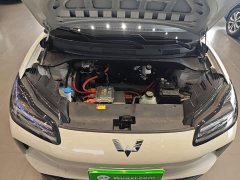 Wuling Binguo PLUS 330km 5-Seater - ფოტო 20