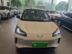 Wuling Binguo PLUS 330km 5-Seater - ფოტო 3
