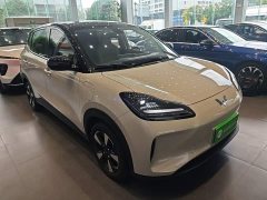 Wuling Binguo PLUS 330km 5-Seater - ფოტო 4