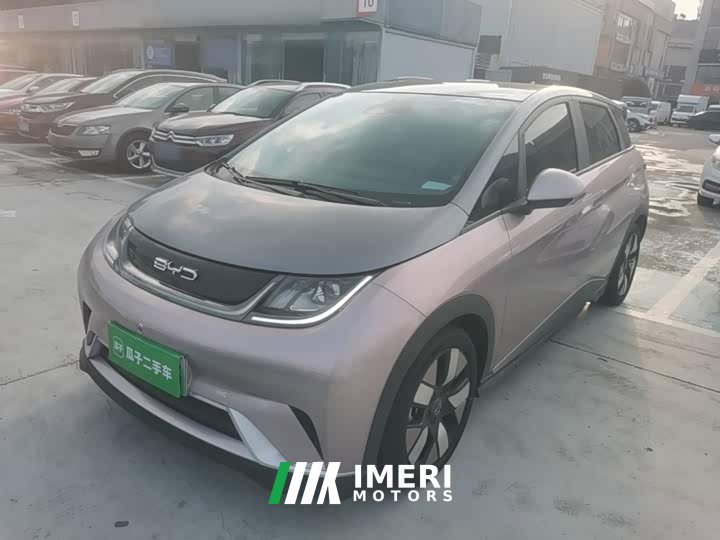 BYD Dolphin 401km Knight Edition - ავტომობილი ჩინეთიდან