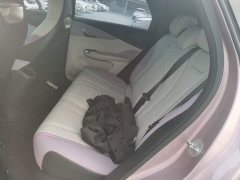 BYD Dolphin 401km Knight Edition - ფოტო 17