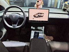 Tesla Model Y Rear-Wheel Drive - ფოტო 10