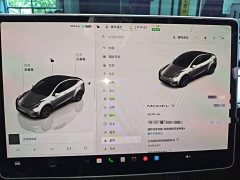 Tesla Model Y Rear-Wheel Drive - ფოტო 12