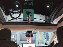 Tesla Model Y Rear-Wheel Drive - ფოტო 18