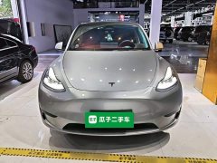 Tesla Model Y Rear-Wheel Drive - ფოტო 3