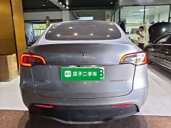 Tesla Model Y Rear-Wheel Drive - ფოტო 6