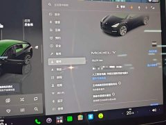 Tesla Model Y Rear-Wheel Drive - ფოტო 12
