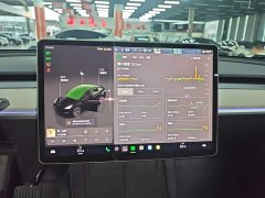 Tesla Model Y Rear-Wheel Drive - ფოტო 13