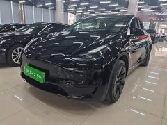 Tesla Model Y Rear-Wheel Drive - ფოტო 2