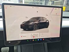 Tesla Model Y 2023 High Performance All-Wheel Drive - ფოტო 6