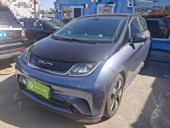 BYD Dolphin 401km Knight Edition - ფოტო 1