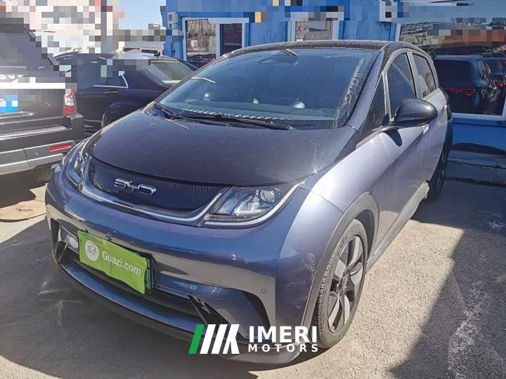 BYD Dolphin 401km Knight Edition
