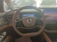 Denza BYD Denza D9 2022 DM-i 970 AWD Premium Edition - ფოტო 11