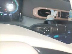 Leapmotor T03 310 Lite Enjoy Edition - ფოტო 10
