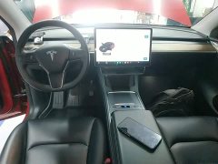 Tesla Model Y Long Range All-Wheel Drive 3D7 - ფოტო 10