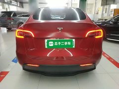 Tesla Model Y Long Range All-Wheel Drive 3D7 - ფოტო 6