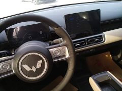 Wuling Binguo PLUS 2024 330km 5-Seater - ფოტო 14