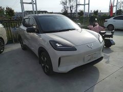 Wuling Binguo PLUS 2024 330km 5-Seater - ფოტო 4