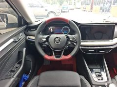 Skoda Octavia PRO TSI280 DSG Premium Edition - ფოტო 11
