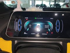 ORA Good Cat GT 2023 Mulan Edition 401km Prestige - ფოტო 12