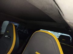 ORA Good Cat GT 2023 Mulan Edition 401km Prestige - ფოტო 18