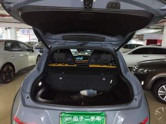 ORA Good Cat GT 2023 Mulan Edition 401km Prestige - ფოტო 19