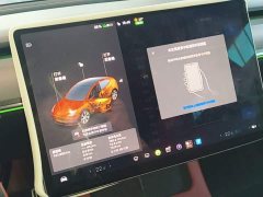 Tesla Model Y 2021 Standard Range RWD - ფოტო 13