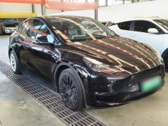 Tesla Model Y 2021 Standard Range RWD - ფოტო 4