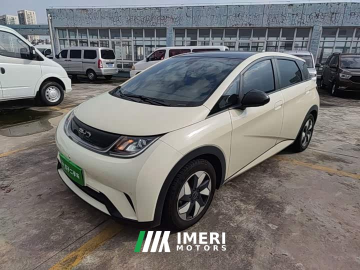 BYD Dolphin Glory Edition 420km Fashion Version - ავტომობილი ჩინეთიდან