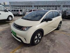 BYD Dolphin Glory Edition 420km Fashion Version - ფოტო 1