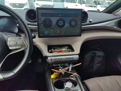 BYD Dolphin Glory Edition 420km Fashion Version - ფოტო 13