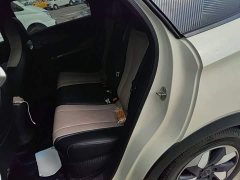 BYD Dolphin Glory Edition 420km Fashion Version - ფოტო 17