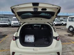 BYD Dolphin Glory Edition 420km Fashion Version - ფოტო 19