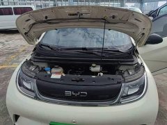 BYD Dolphin Glory Edition 420km Fashion Version - ფოტო 20